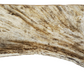 Moose Antler Dog Chew